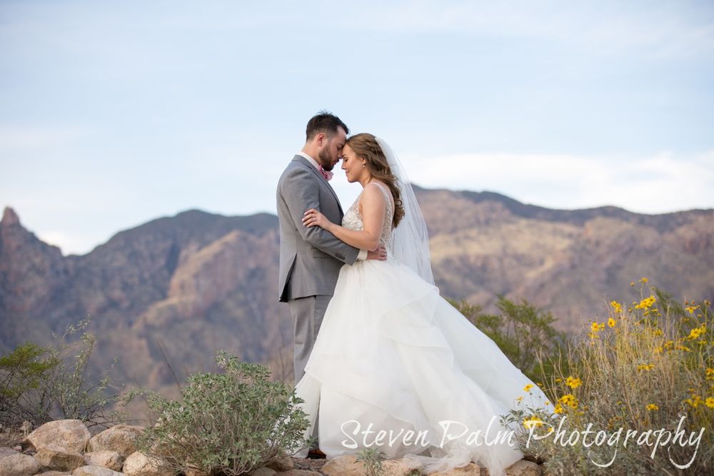 Steven Palm Photography