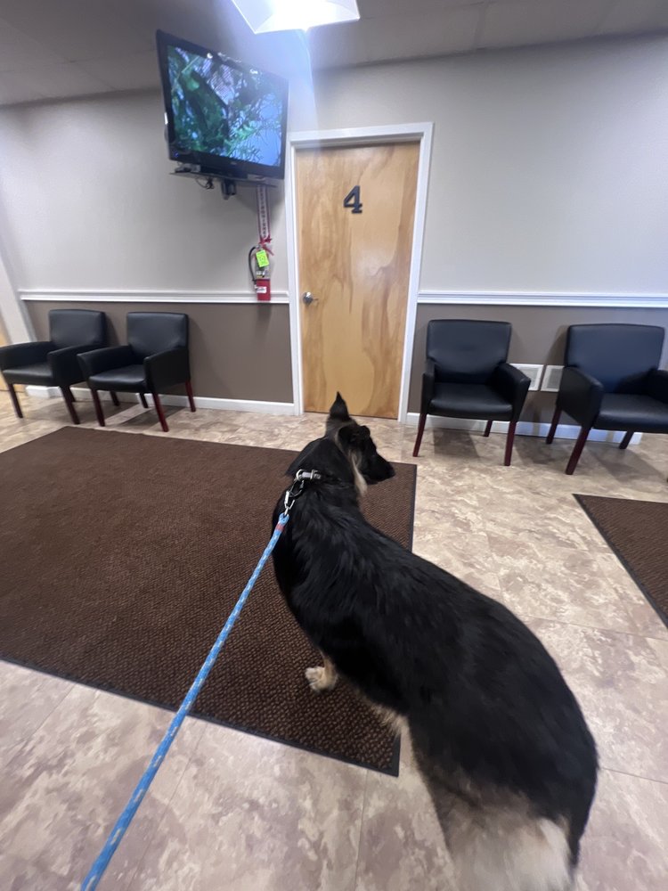 NORTHWAY ANIMAL EMERGENCY CLINIC 19 Photos & 29 Reviews 35 Fawn Rd