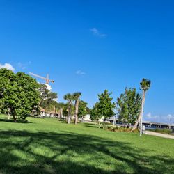 Alice C. Wainwright Park