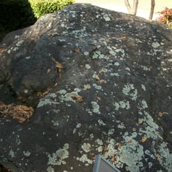 Sprayberry Rock