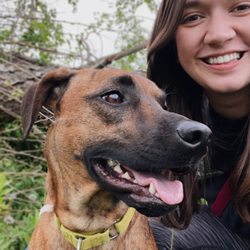Cheyenne Off-Leash Dog Park - 14 acres of trails, fields, and forest