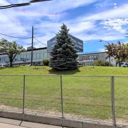 The Michael J Petrides School