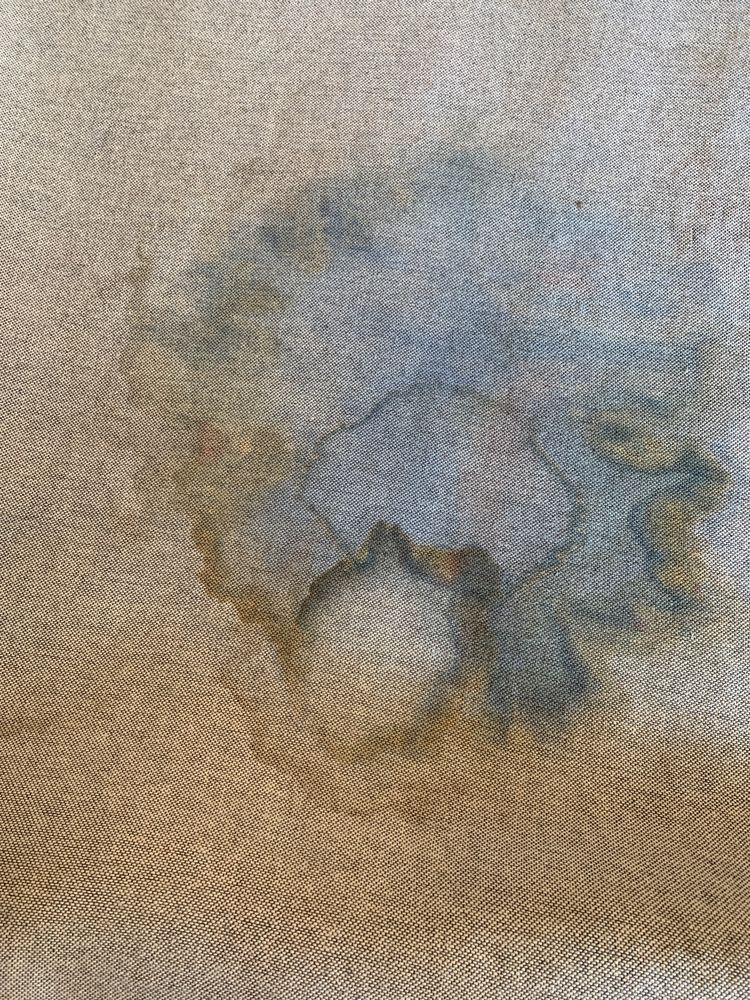 DAVE’S MAGIKIST 11 Photos 1844 W Fond Du Lac Ave, Milwaukee, Wisconsin Carpet Cleaning