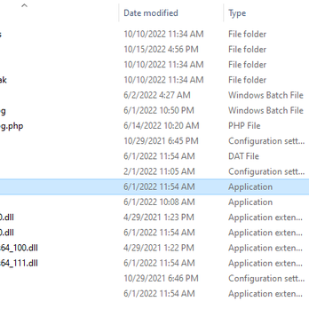 Palafox Computers - Rogue file in question.  Stored in a folder created at the shop. - Computers Near Me - Pensacola, Florida