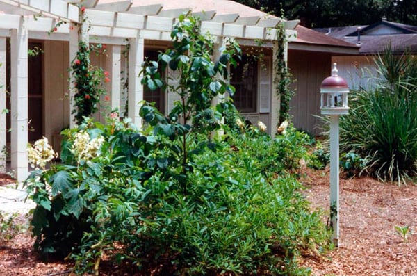 Natural Design Solutions Inc