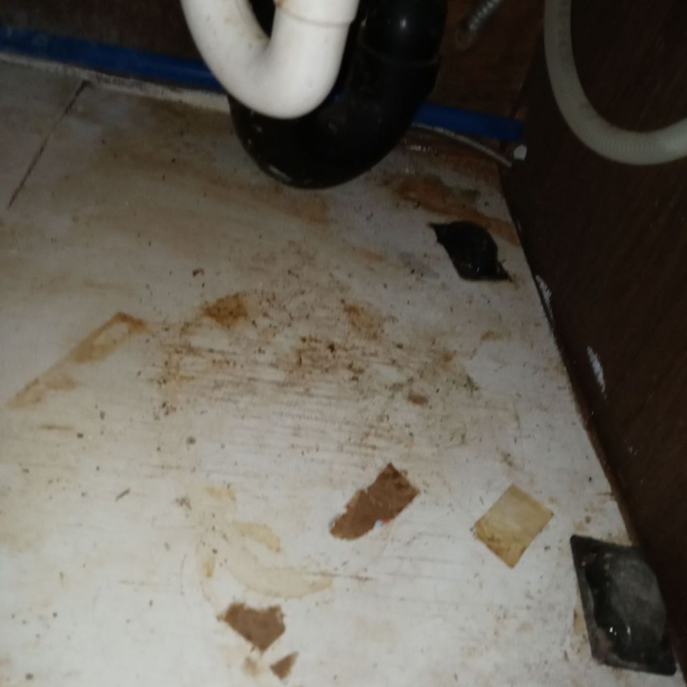 Maid Your Way Cleaning - Under kitchen sink - Home Cleaning Near Me Maid Your Way Cleaning - Under kitchen sink - Home Cleaning Near Me
