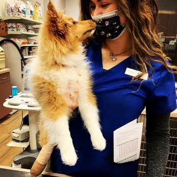 Stevenson Ranch Veterinary Center - Veterinarians Near Me - Stevenson Ranch, California