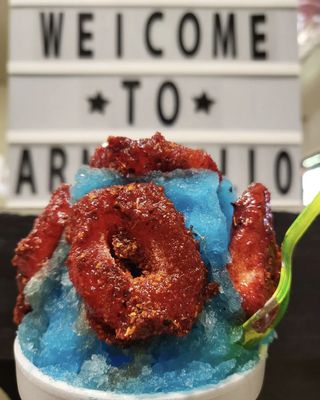 Armadillo Snow Cones by null