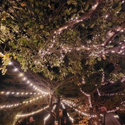 Prasad Events - Matt Rowland Magic Lights