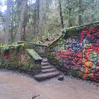 Forest Park - Parks Near Me - Portland, Oregon