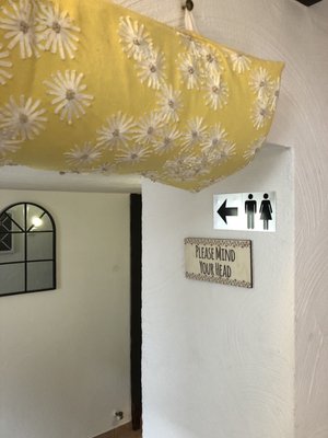 Daisys Tearoom and Garden by null