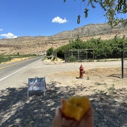 Palisade Cycle & Shuttle - Peaches on bike way