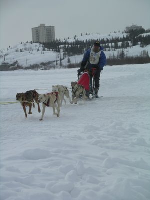 Embleton House B & B / Small Inn City Of Yellowknife Licenses # 02809 by null