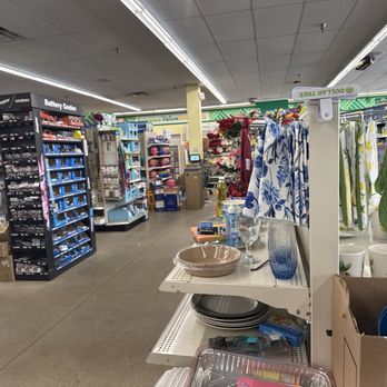 Dollar Tree - Lots of stuff here. - Discount Store Near Me - Garden City, New York