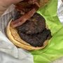 BurgerFi