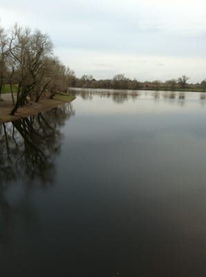 Tiscornia Park by null