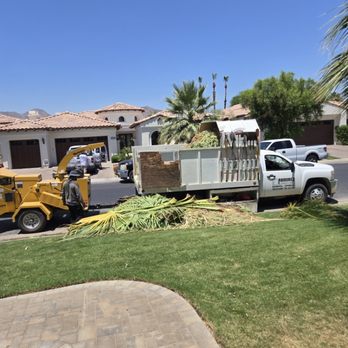 Ramirez Landscape - Tree Services Near Me - Thousand Palms, California Ramirez Landscape - Tree Services Near Me - Thousand Palms, California