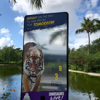 Zoo Miami - Celebrating my oldest's birthday - Zoos Near Me - Miami, Florida Zoo Miami - Celebrating my oldest's birthday - Zoos Near Me - Miami, Florida