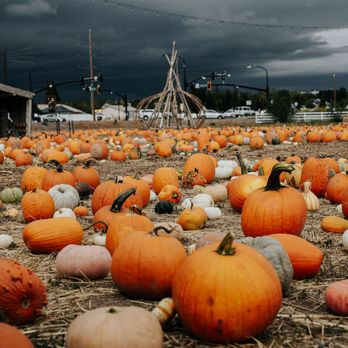 The Kinlands - Beautiful night skies, open rain or shine. - Farmers Market Near Me - Riverton, Utah