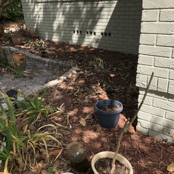 Florida Pest Control - Again, no care was taken to move things that were in danger, if they were. Horrible customer service. We think it's because of overbooking. - Pest Control Near Me - Ocala, Florida Florida Pest Control - Again, no care was taken to move things that were in danger, if they were. Horrible customer service. We think it's because of overbooking. - Pest Control Near Me - Ocala, Florida