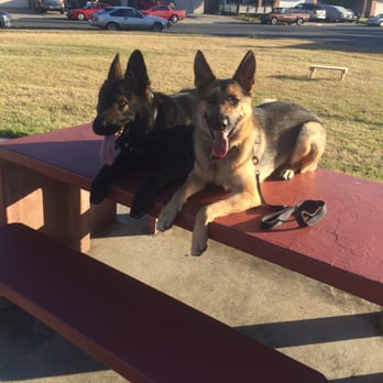 Bay Area K9 Training - Pet Training Near Me Bay Area K9 Training - Pet Training Near Me