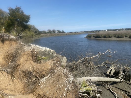 Edisto Beach State Park by null