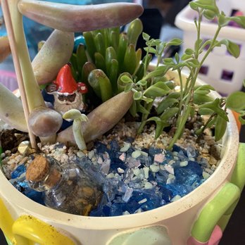 Zinks Town - Plants and decorations - Art Galleries Near Me - Albuquerque, New Mexico