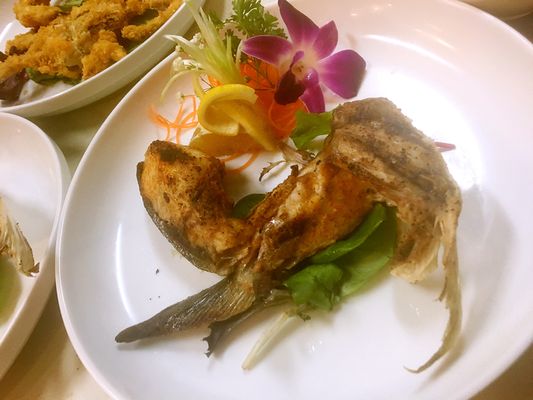 Mikado Sushi by null