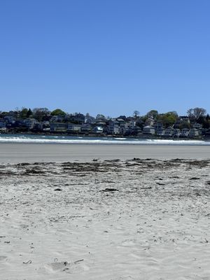 Nahant Beach by null