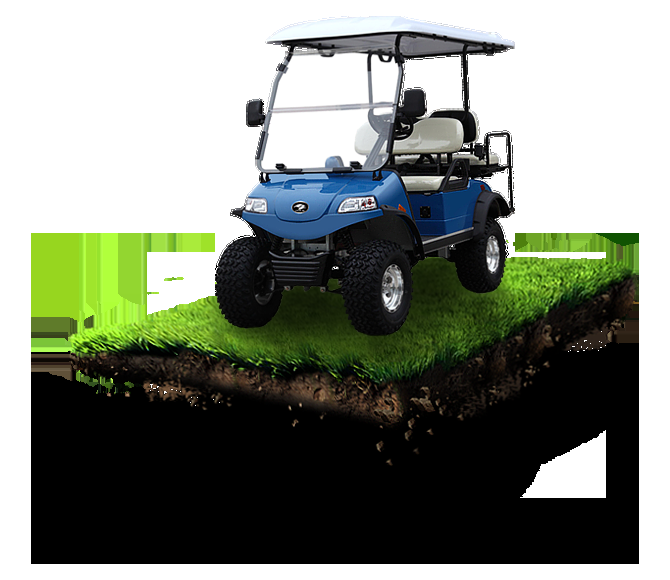 DAVID STORMER GOLF CARTS Updated August 2024 4450 S Pine Ave, Ocala