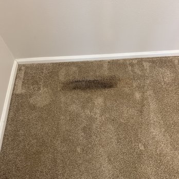 Roto Carpet Cleaning - Carpet Cleaning Near Me - Everett, Washington