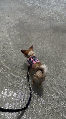 Hobie Island Beach Park North by null