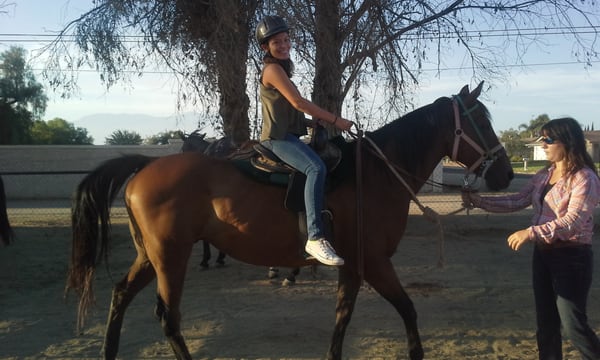 S&D Horseback Riding by null