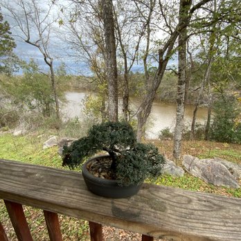 Riverside RV Resort - River Access - RV Parks Near Me - Riverside, Texas Riverside RV Resort - River Access - RV Parks Near Me - Riverside, Texas