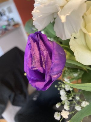 Safeway Bakery by null