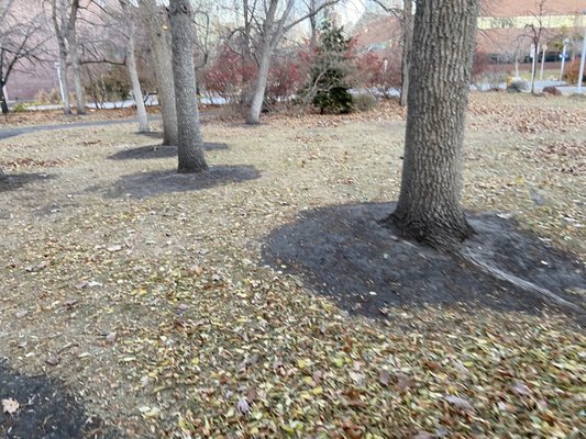 9TH STREET HISTORIC PARK - Updated December 2024 - 10 Photos - 1068 9th St, Denver, Colorado