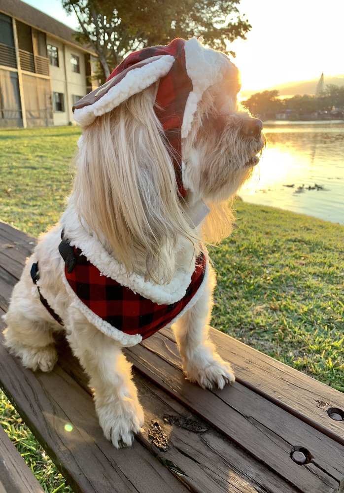 VILLAS OF CARRIAGE HILLS Updated September 2024 100 Carriage Dr