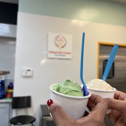 Green Tea, Sea Salt Caramel Green Tea, Sea Salt Caramel