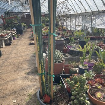 Mezcala Nursery - Nurseries & Gardening Near Me - Long Beach, California Mezcala Nursery - Nurseries & Gardening Near Me - Long Beach, California