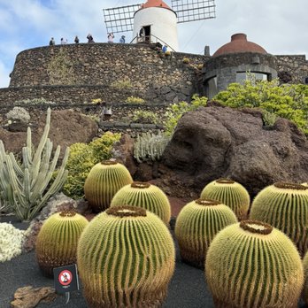 El Jardín de Cactus - Parks Near Me - Lanzarote, GC El Jardín de Cactus - Parks Near Me - Lanzarote, GC