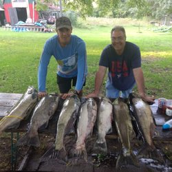 Fishing With Captain Ted - Nice batch of kings