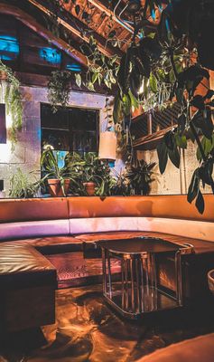 Flamingo Cocktail Club by null