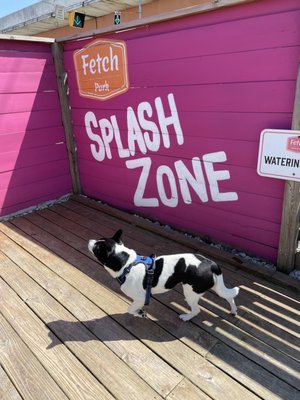 Fetch Park O4W by null