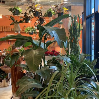 Rewild - Florists Near Me - Washington, DC, District of Columbia