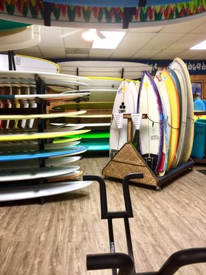 Mc Kevlin's Surf Shop by null