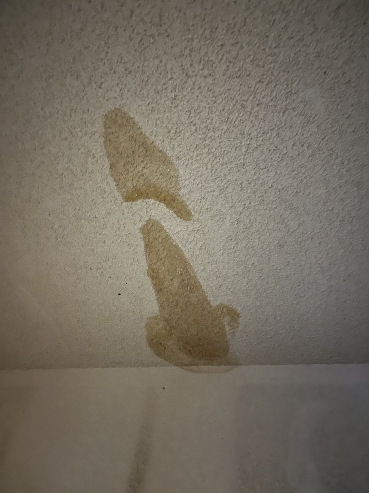 Slide of Manuel Tovar