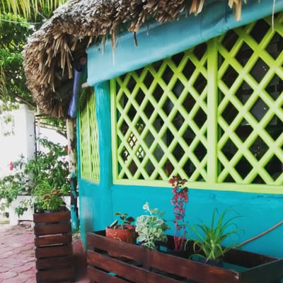 Kiosco Verde by null