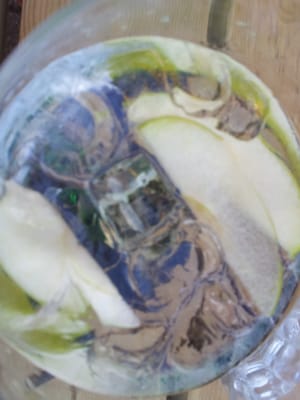 Mossel & Gin by null