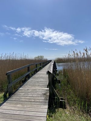 Whalehead Club by null