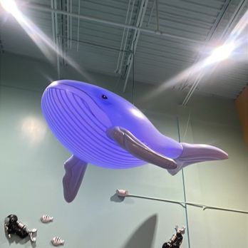 Catch Air - Inside - Indoor Playcenter Near Me - Massapequa, New York Catch Air - Inside - Indoor Playcenter Near Me - Massapequa, New York